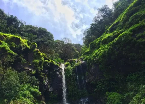 Top 5 Things to Do in Bir for Adventure and Relaxation