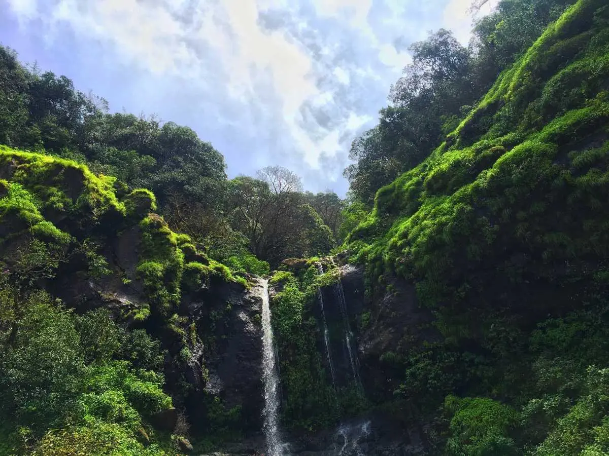 things to do in bir